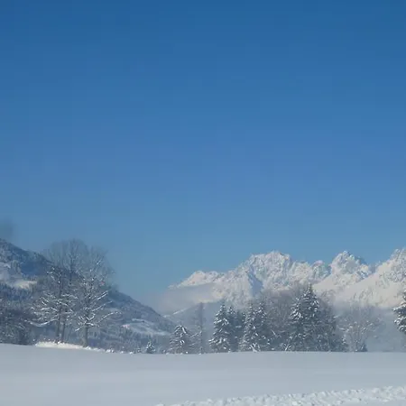 Gaestehaus Rosi Guest house Fieberbrunn