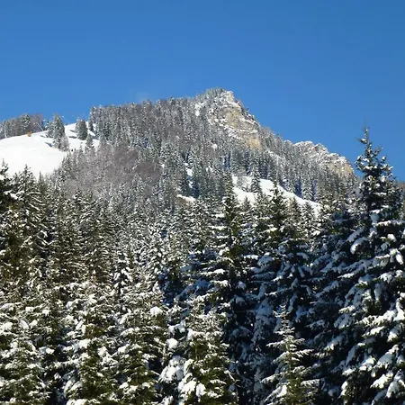 Πανσιόν Gaestehaus Rosi